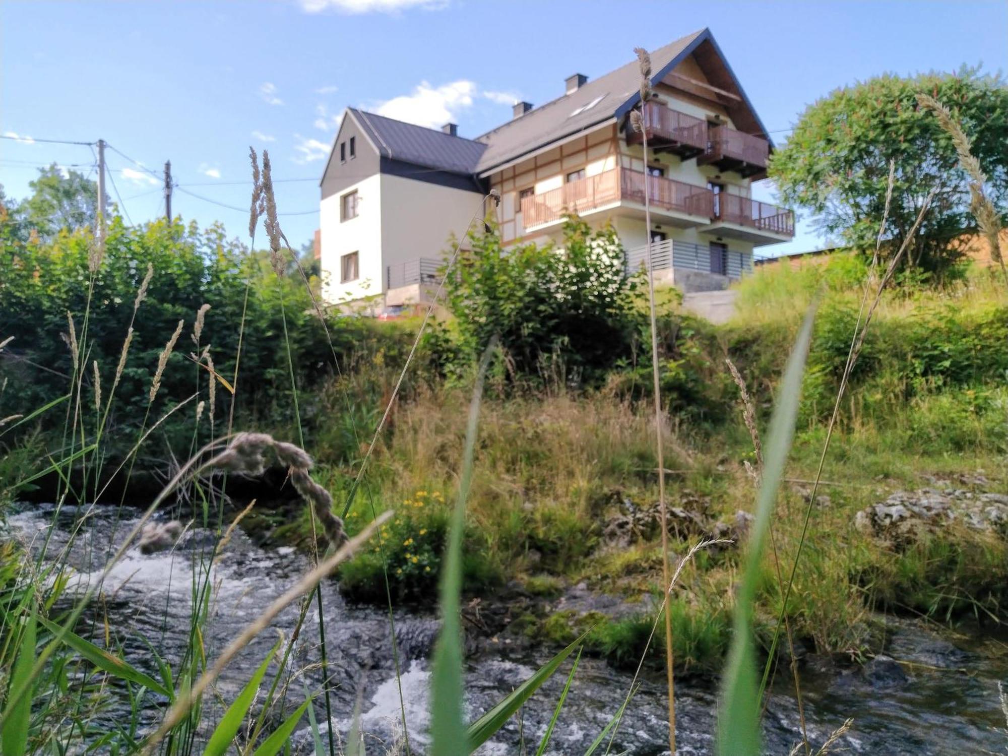 Nowy Klimatyczny Apartament Z Balkonem - Willa Sowia Stronie Śląskie Exterior foto